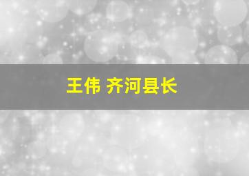 王伟 齐河县长